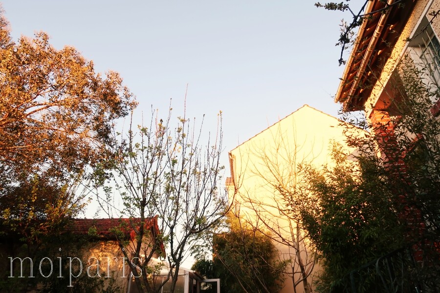 IMG_4712 - コピー