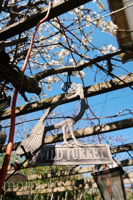 IMG_4674 - コピー