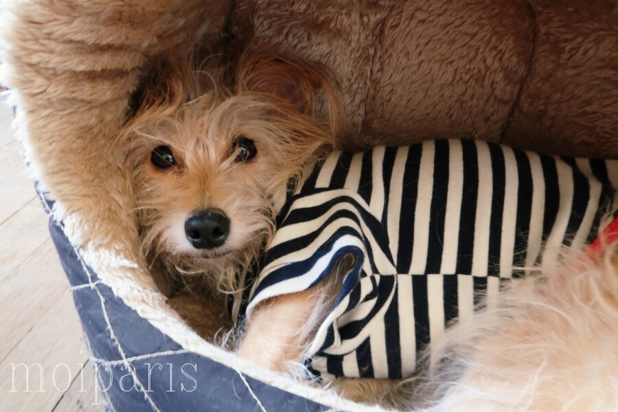 IMG_5083 - コピー