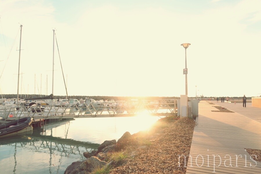 IMG_1464 - コピー