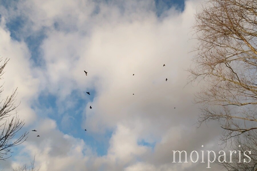 IMG_2191 - コピー