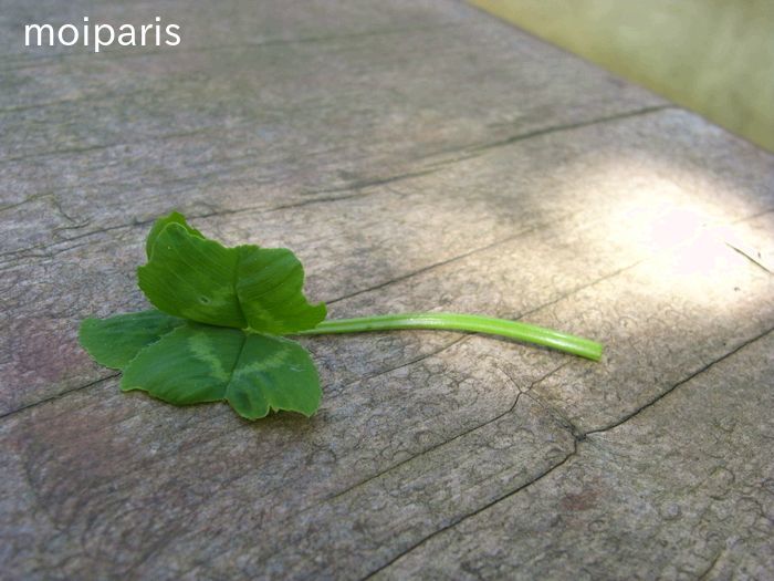 VTZMao3tdoa27RK1524314016_1524314296[1]