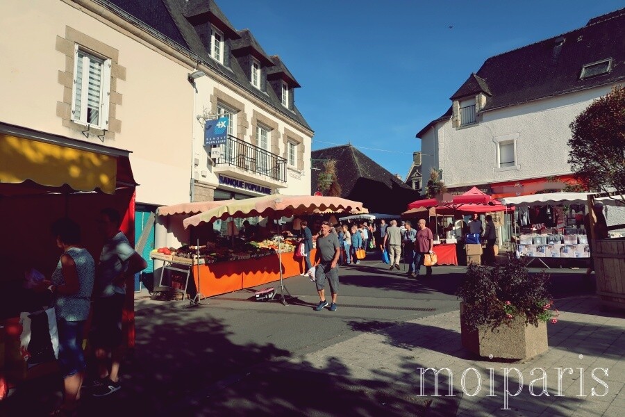 IMG_5536 - コピー