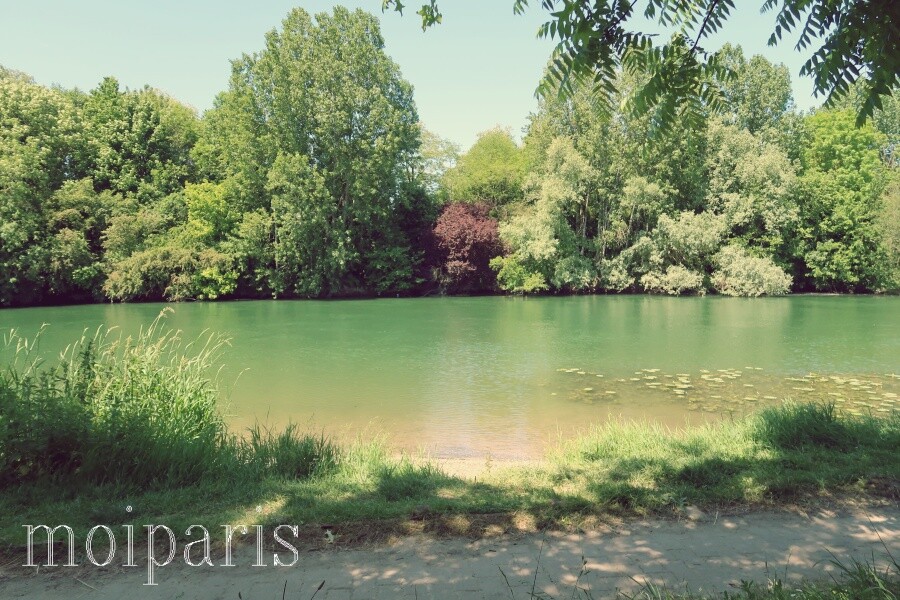 IMG_8844 - コピー