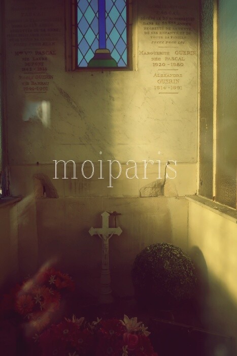 IMG_6689 - コピー