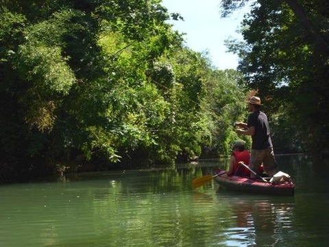 RIMG51237 - Copie (2)