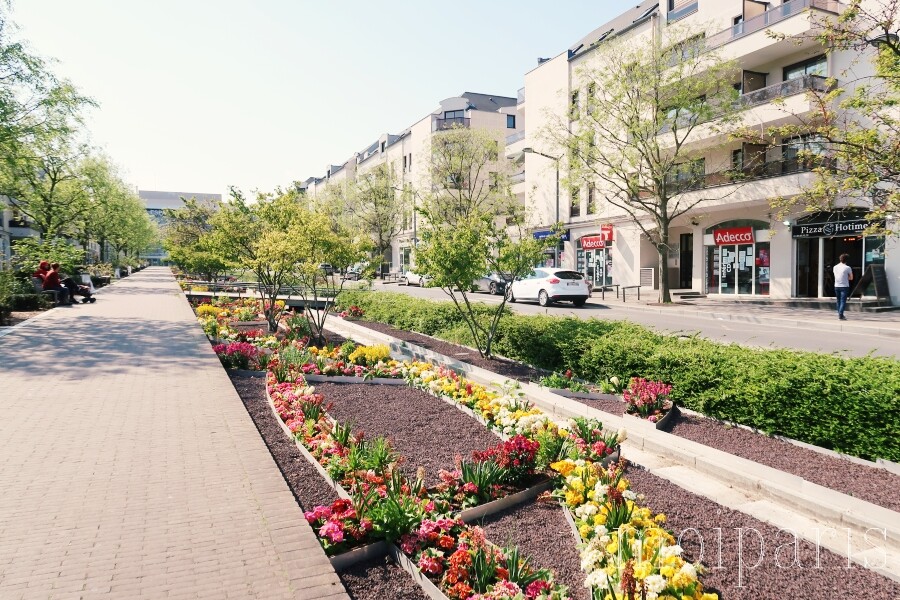 IMG_4921 - コピー