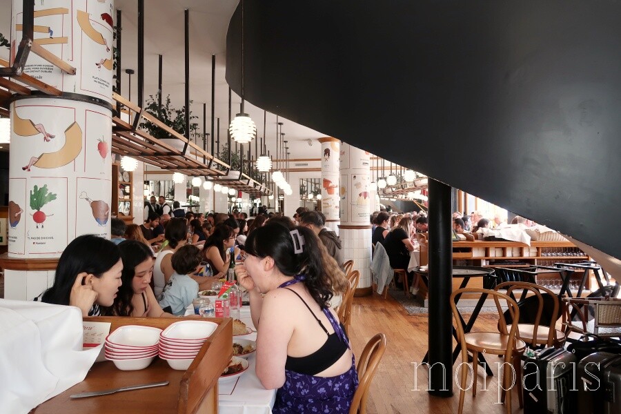 IMG_1017 - コピー