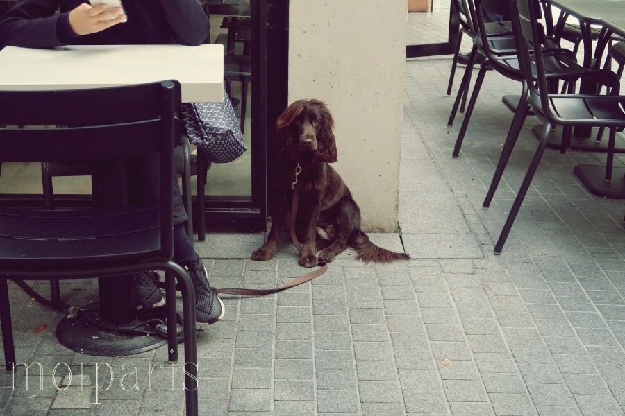 IMG_6037 - コピー