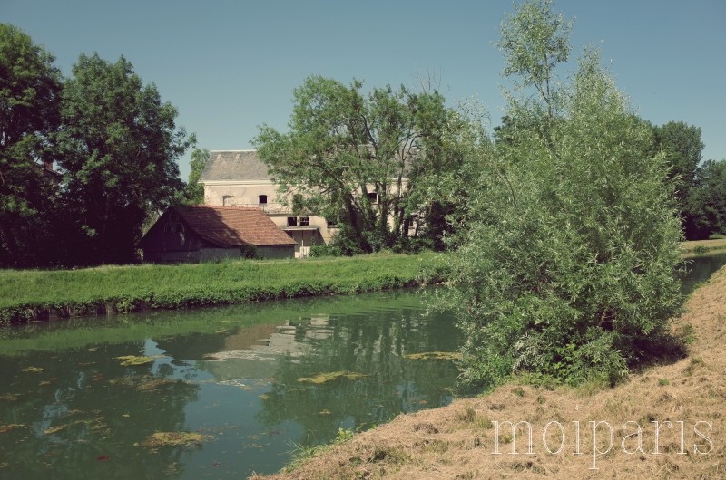 R0009670 - コピー - コピー