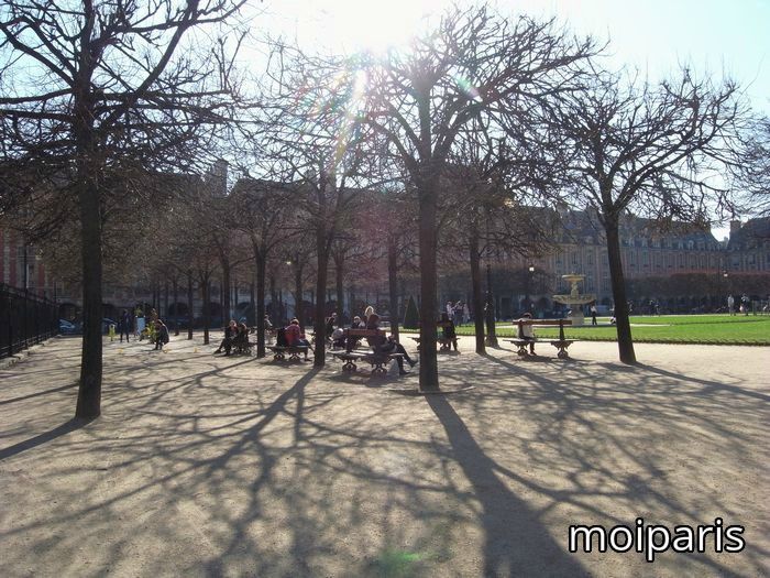RIMG6692 - Copie
