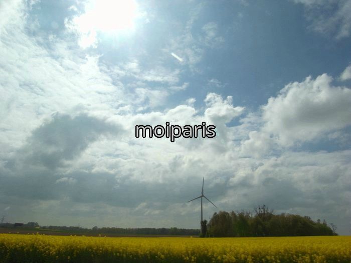 RIMG8013 - Copie