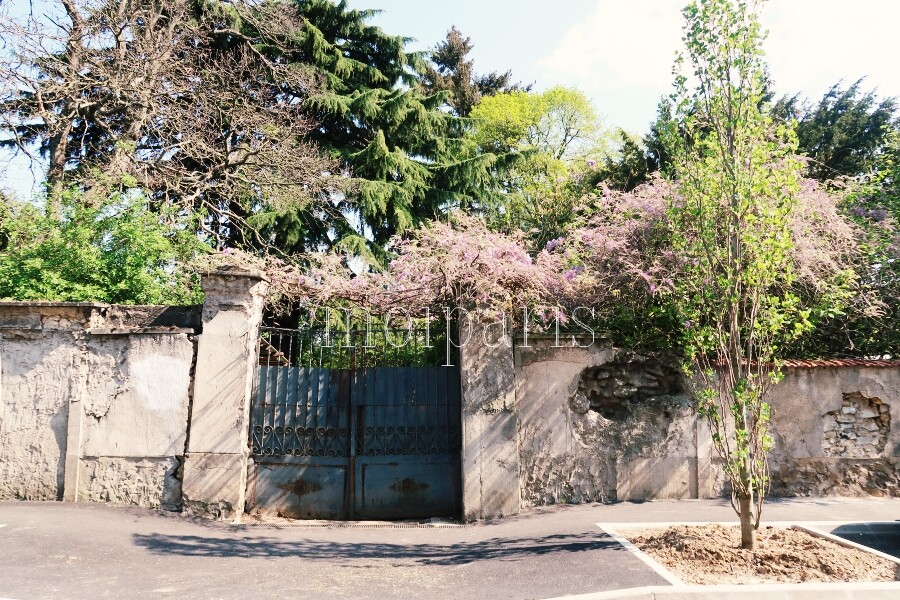 IMG_4927 - コピー