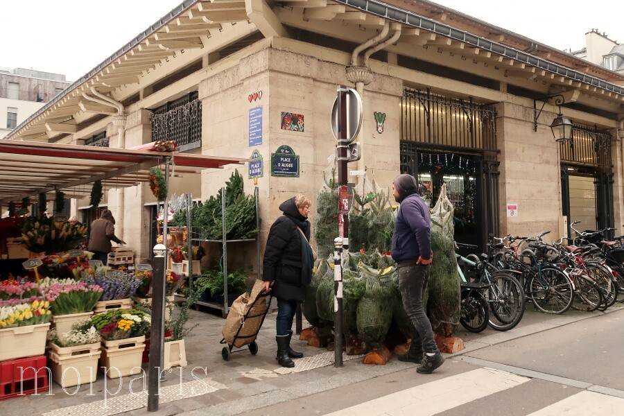 IMG_7302 - コピー