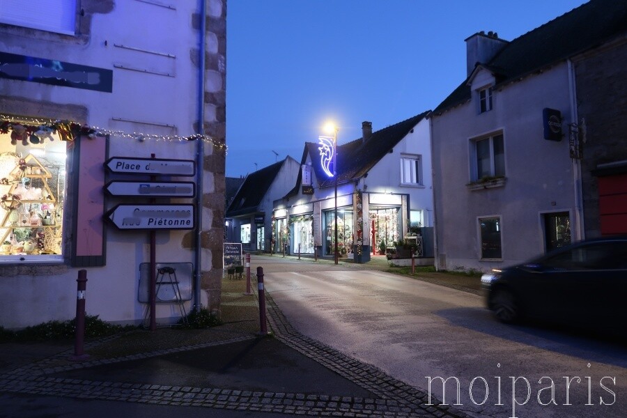 IMG_2125 - コピー