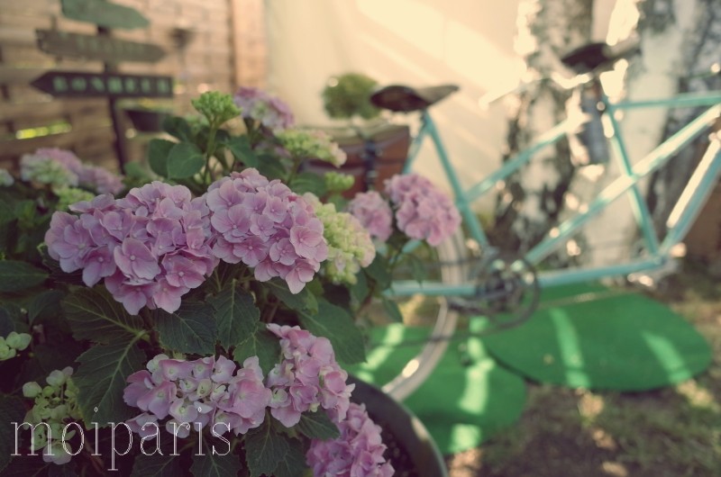 R0009800 - コピー - コピー