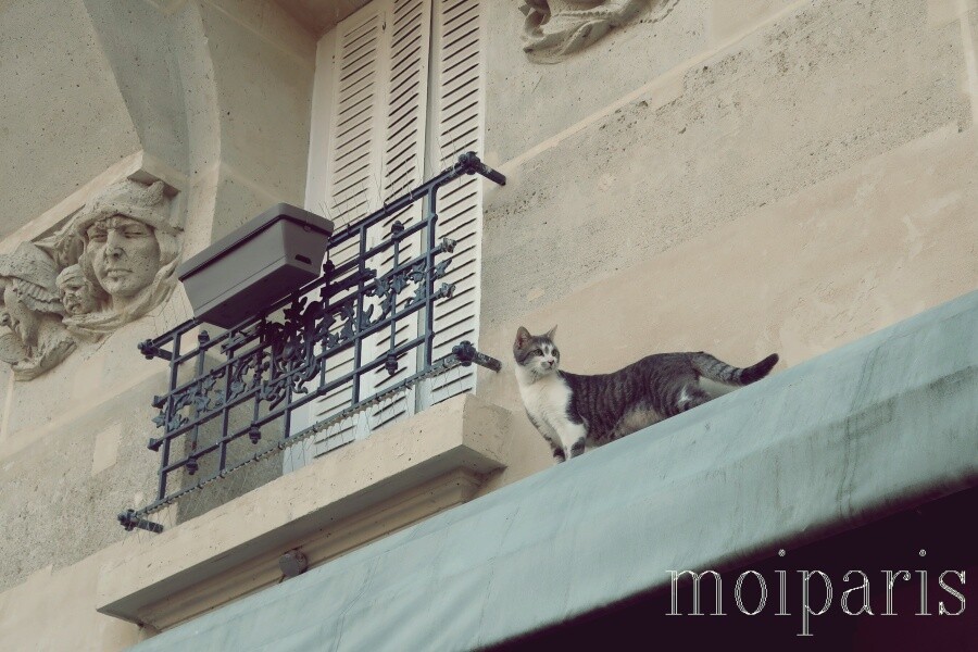 IMG_3072 - コピー