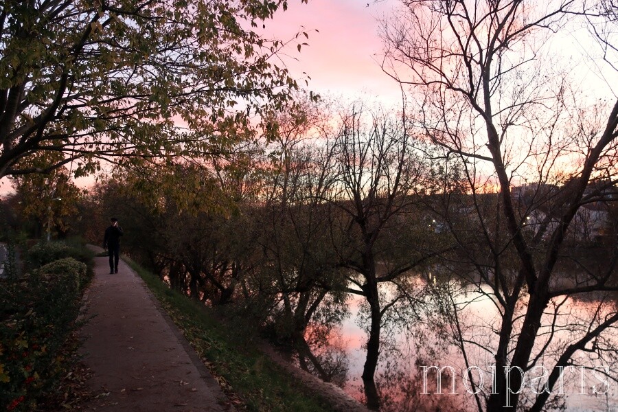 IMG_1533 - コピー