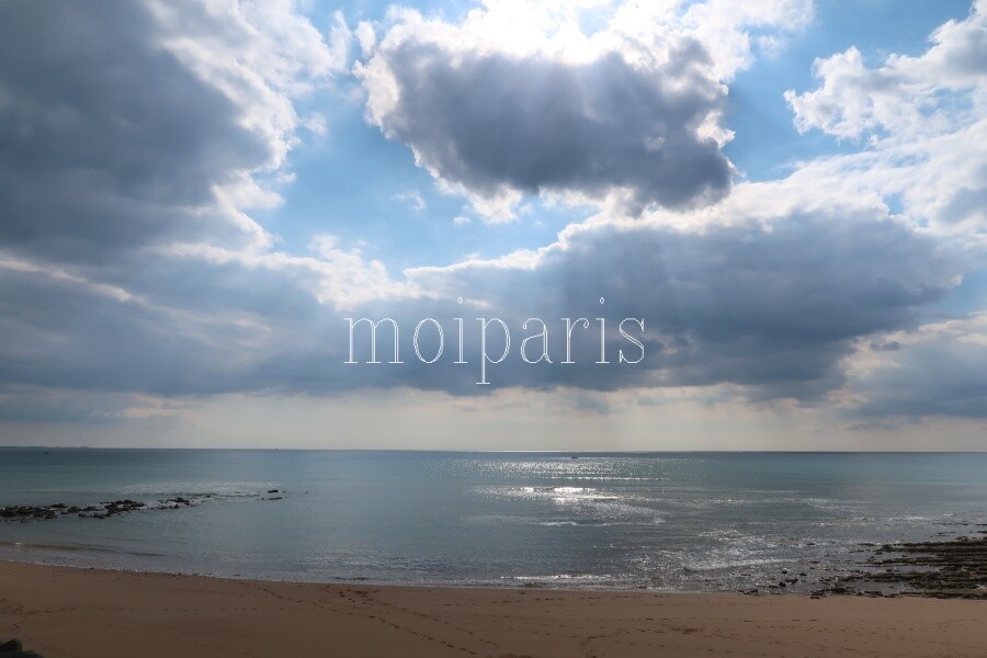 IMG_1348 - コピー