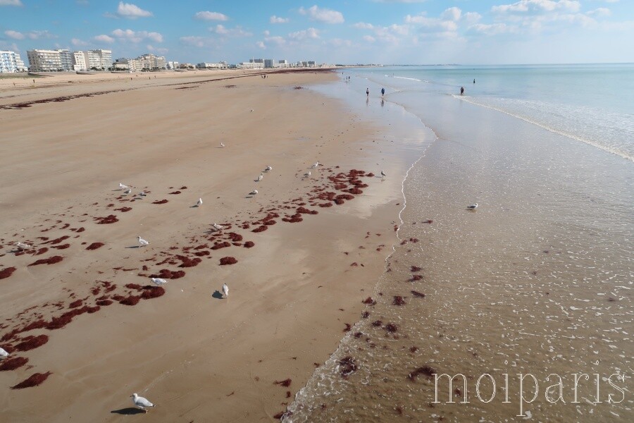 IMG_1384 - コピー