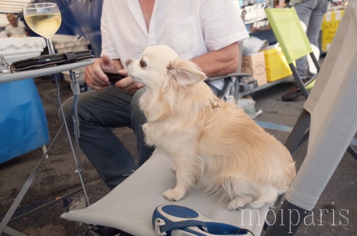 R0010566 - コピー - コピー