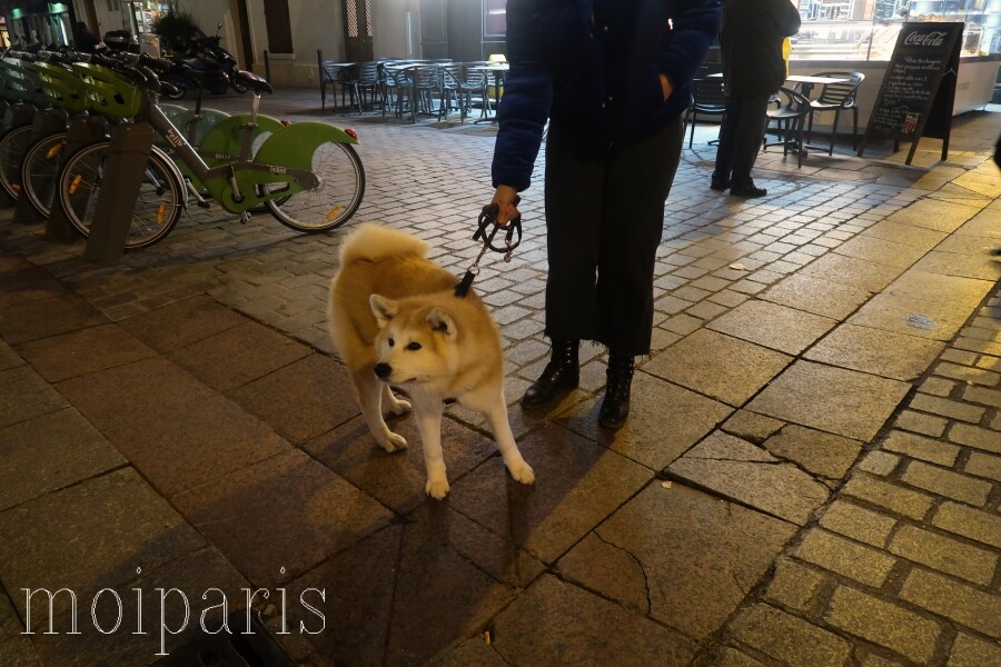 IMG_2823 - コピー