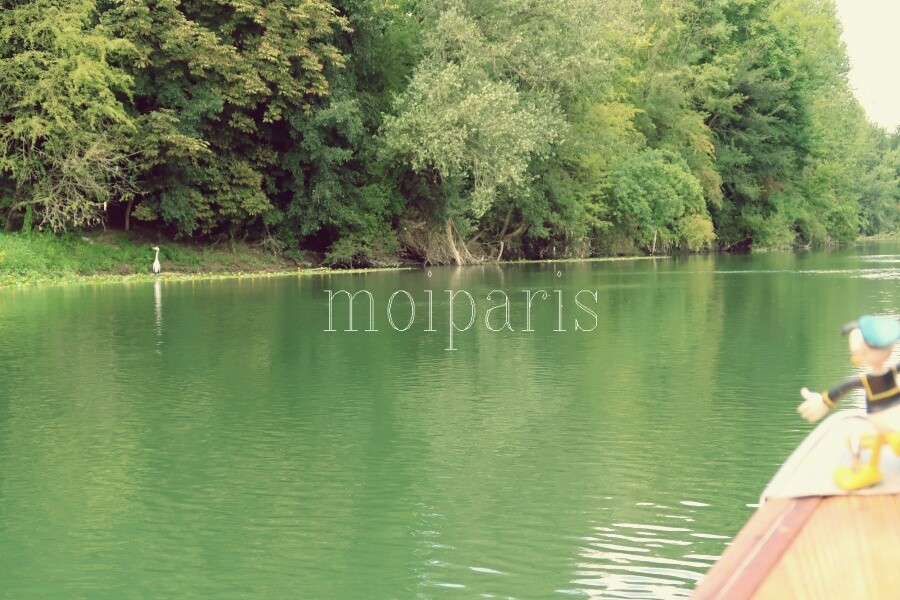 IMG_0168 - コピー