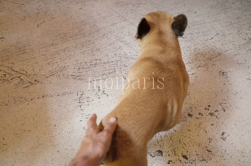 R0010426 - コピー