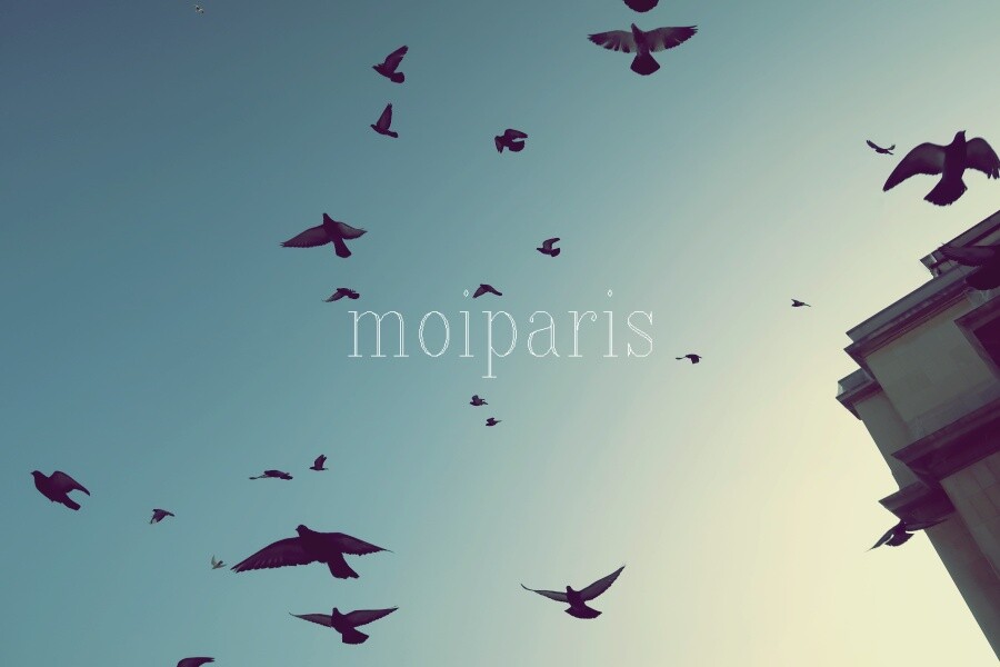 IMG_7992 - コピー