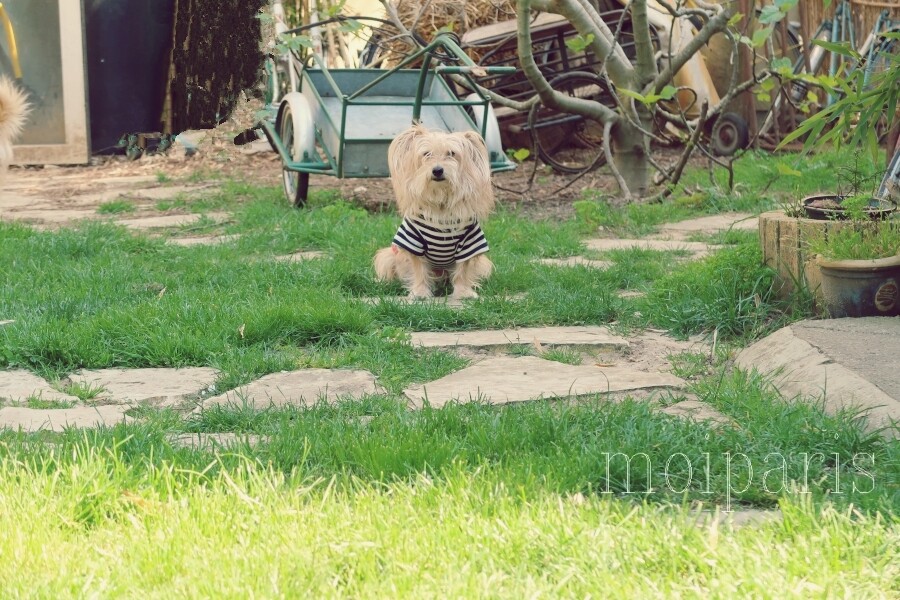 IMG_5150 - コピー