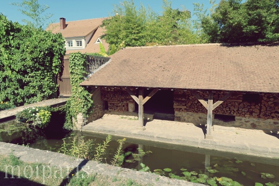 IMG_5151 - コピー