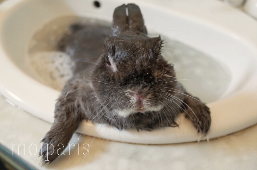 R0139986 - コピー