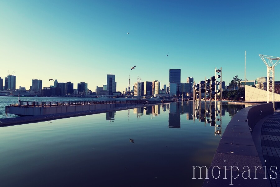 IMG_1876 - コピー