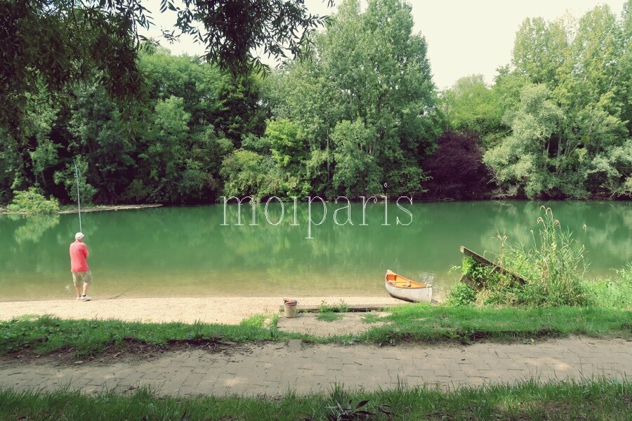 IMG_0186 - コピー