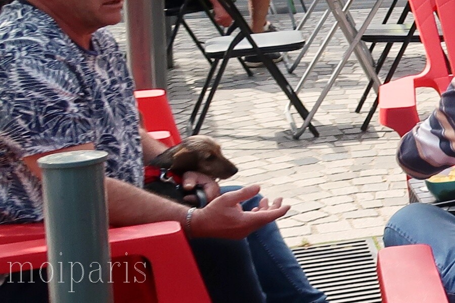 IMG_4384 - コピー