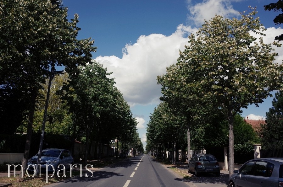 パリ郊外ほんのり秋色になってきた我が街の素敵なお宅たち パリ生活社ミルクとマカロン2