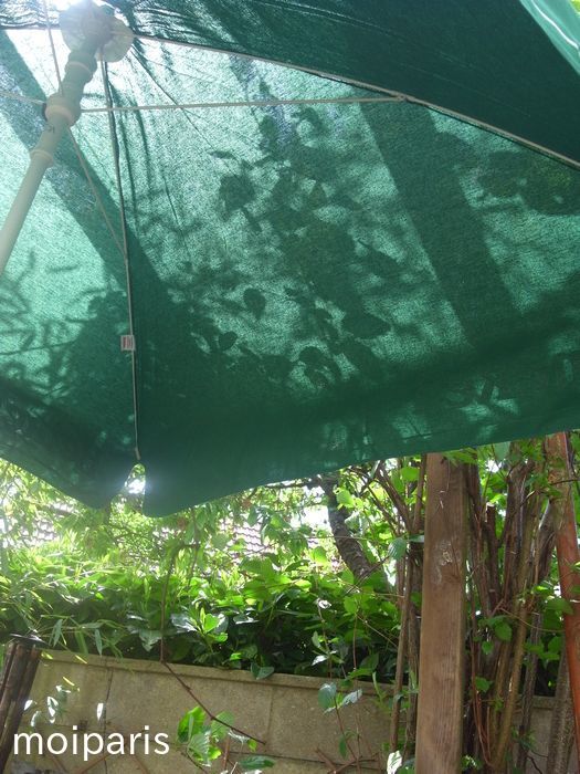 vIIKpygnqXXFYL81524484183_1524484272[1]