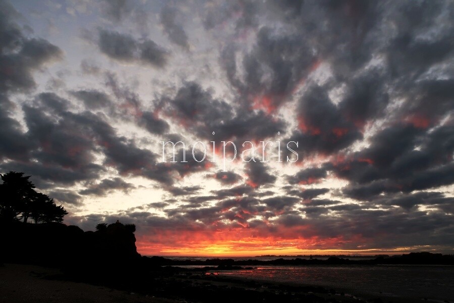 IMG_1535 - コピー