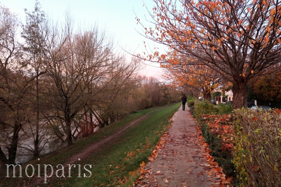 IMG_1537 - コピー