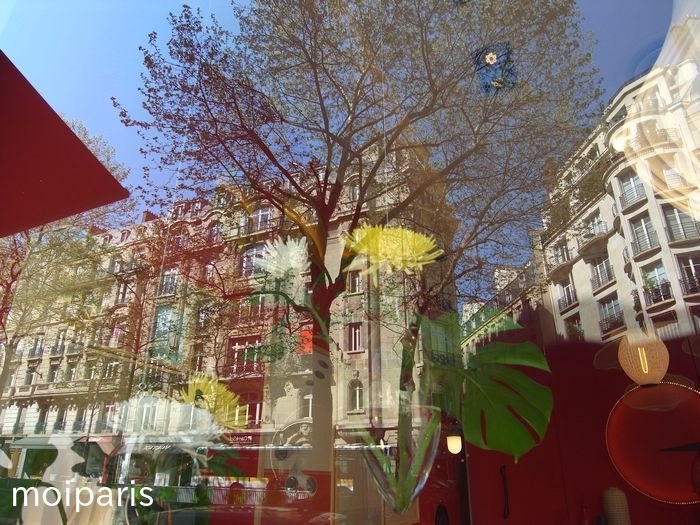 qR0fSb6pgHoO2vO1524209738_1524209840[1]