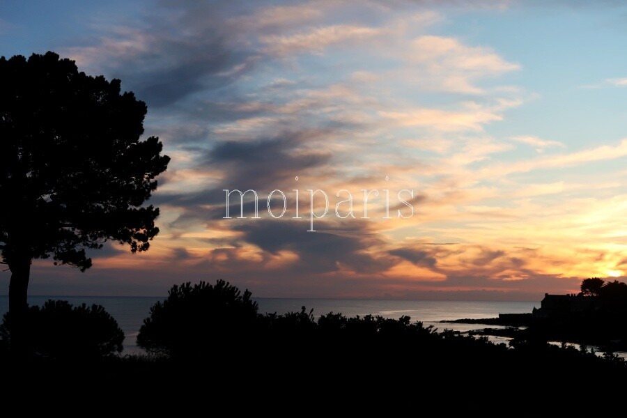 IMG_1735 - コピー