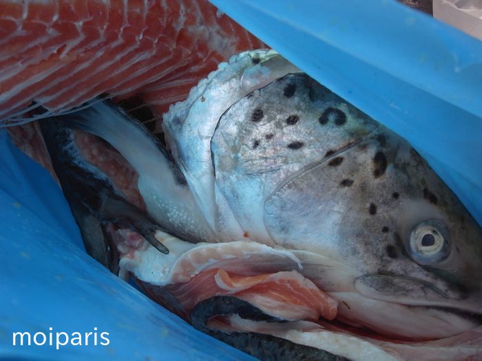 4wrHMpTTdCbf4L21524432859_1524432927[1]