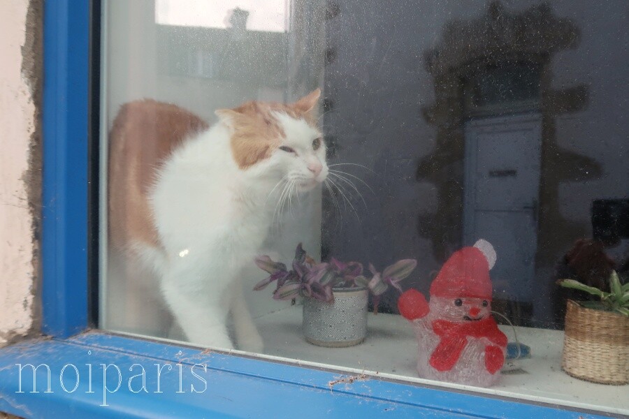 IMG_2007 - コピー