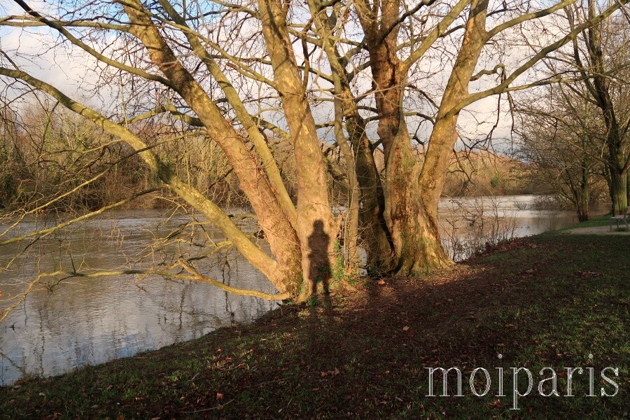 IMG_2195 - コピー