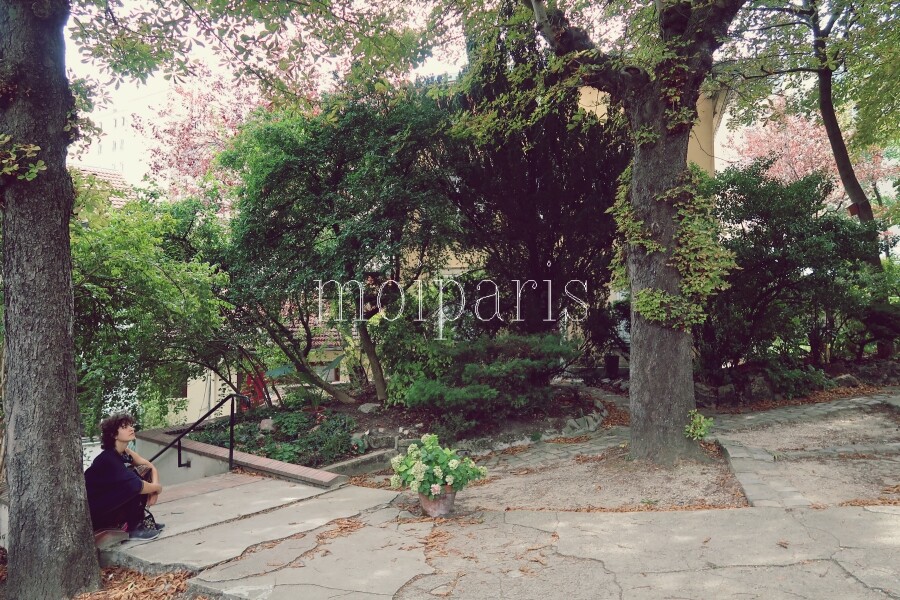 IMG_7961 - コピー