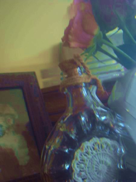 RIMG45506 - Copie - Copie - Copie