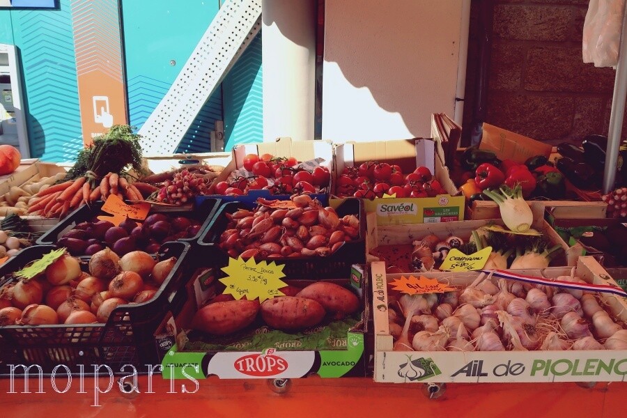 IMG_5537 - コピー