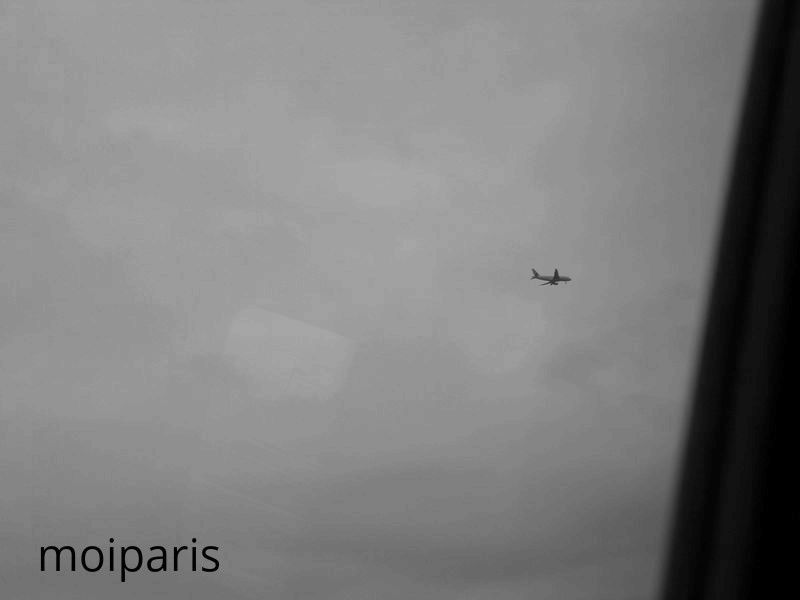 RIMG8183 - Copie - Copie