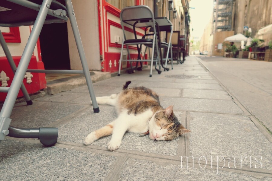 IMG_0197 - コピー