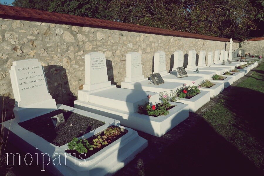 IMG_6662 - コピー